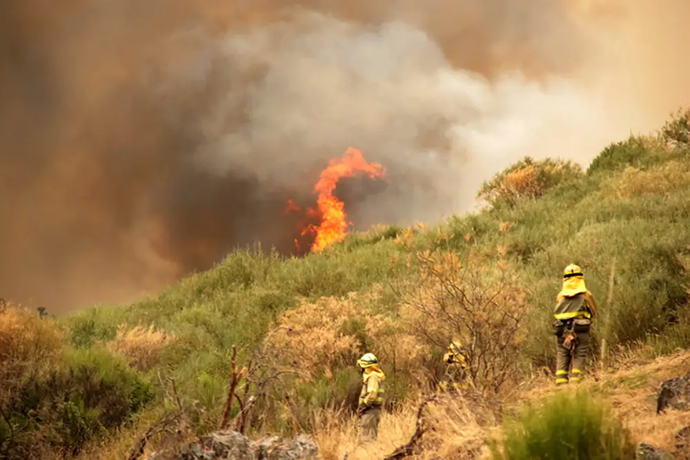 Varios bomberos permanecen a cierta distancia de uno de los incendios forestales de Castilla y León.