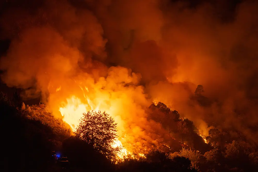 Incendio forestal.