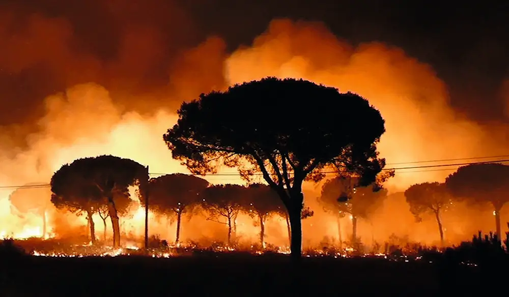 Un incendio arrasa varios árboles.