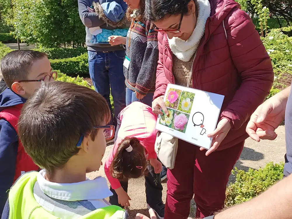 Es importante la participación y la implicación en el programa de las familias.
