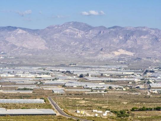 Una explanada en Almería, con hectáreas de cultivos