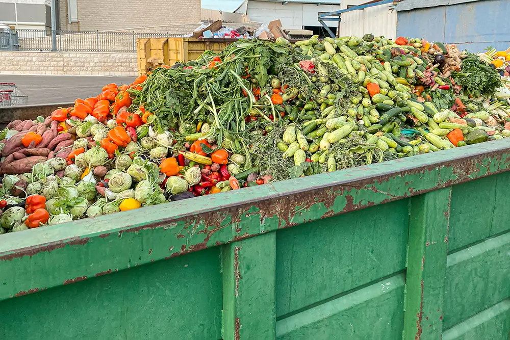 Contenedor repleto de frutas y hortalizas desperdiciadas.