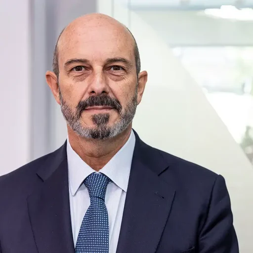 Pedro Rollán, presidente del Senado.